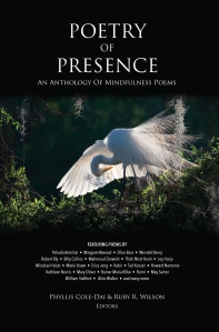 full cover new for web